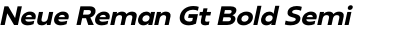 Neue Reman Gt Bold Semi Expanded Italic